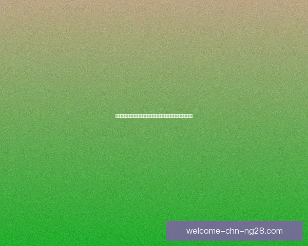 从奥斯梅恩对阵韩国看其世界杯关键战术价值解析全面影响与胜负走向